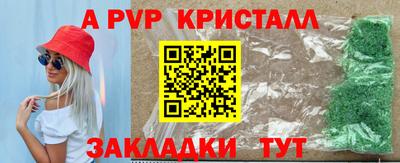 PSILOCYBIN Ярославль