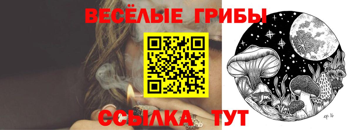 Галлюциногенные грибы мицелий  Вход с VPN  Большой Камень  Псилоцибиновые грибы Cubensis 