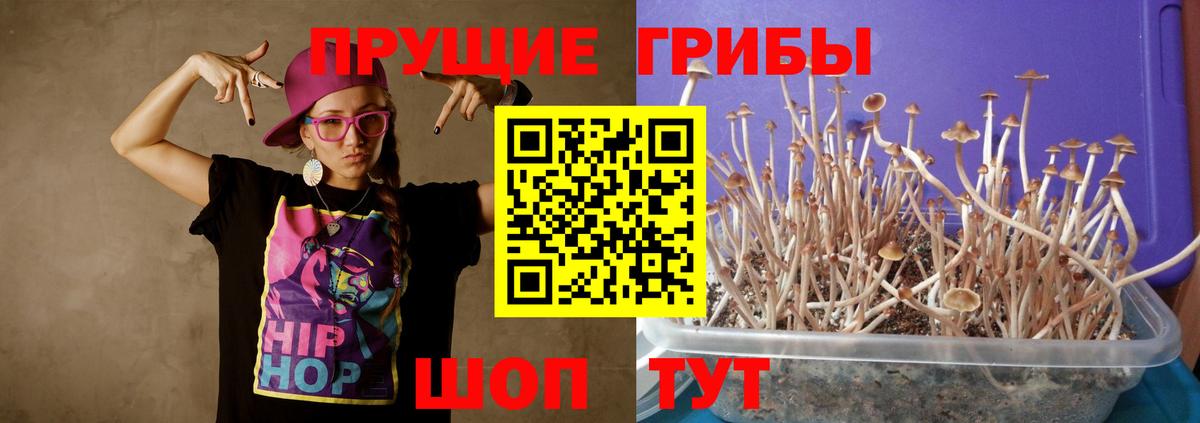 Галлюциногенные грибы GOLDEN TEACHER Большой Камень